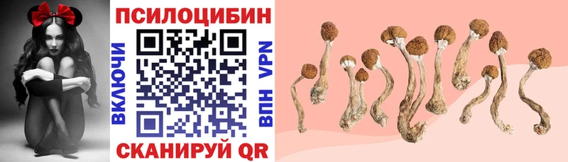 Купить закладки  Кумертау  Галлюциногенные грибы GOLDEN TEACHER 